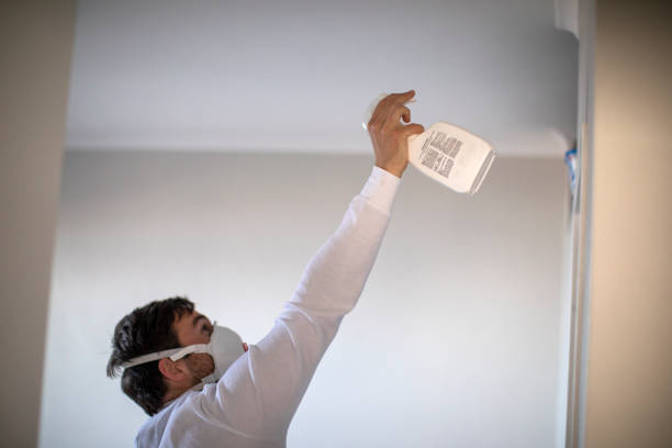 Professional Mold Removal in Breese, IL