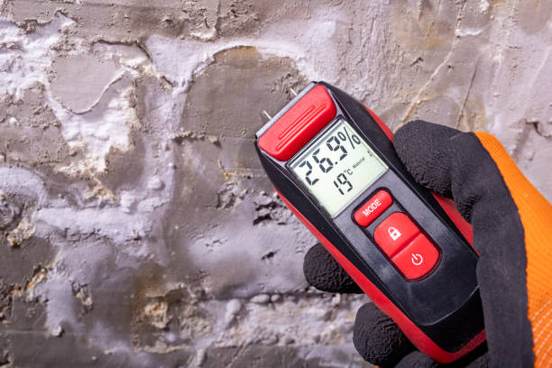 Best Residential Mold Removal  in Breese, IL